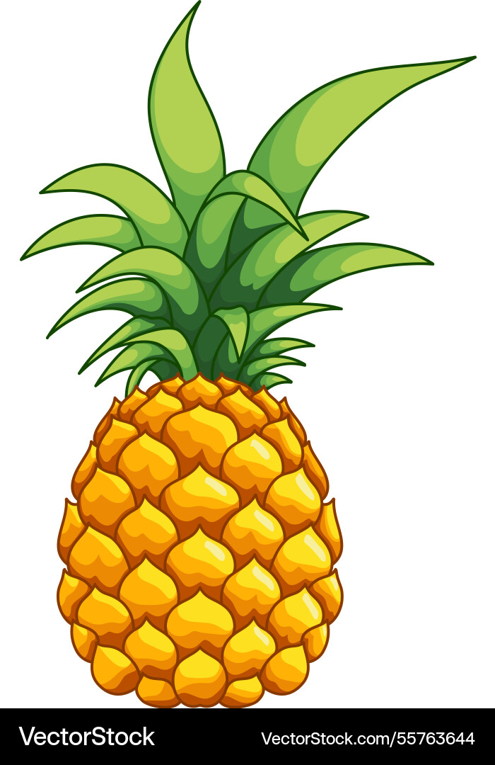 Pineapple by hand drawn Royalty Free Vector Image