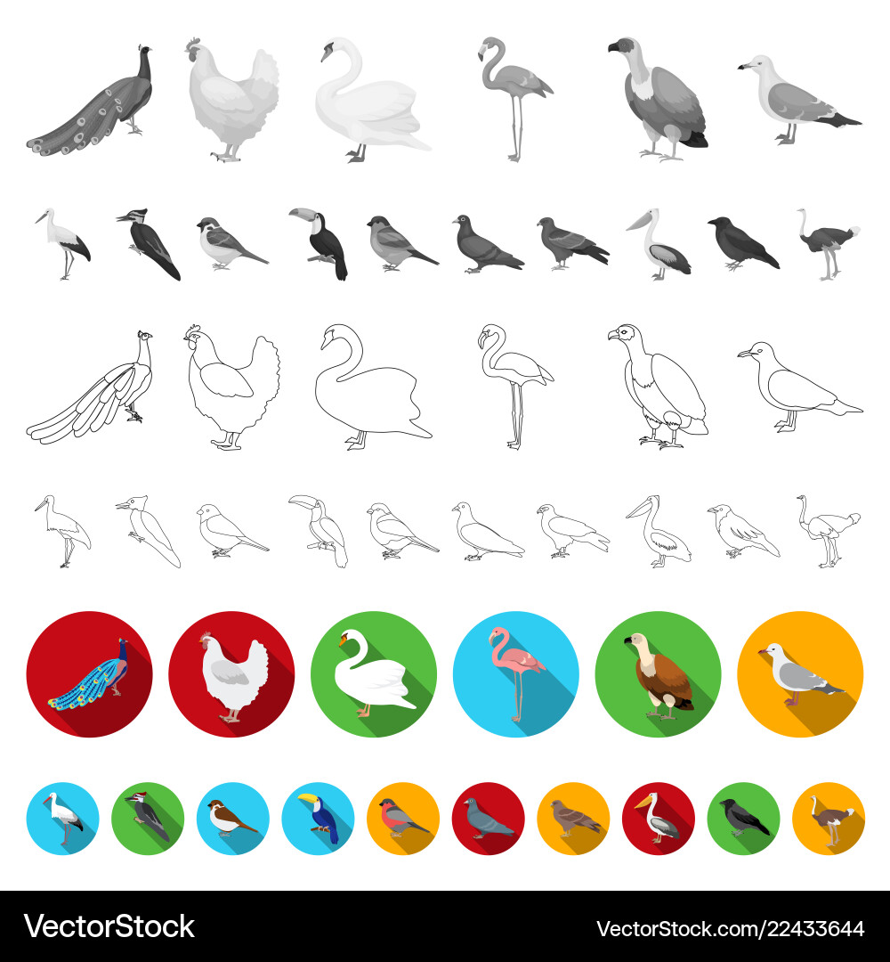 Types birds flat icons in set collection Types birds flat icons in set collection vector image
