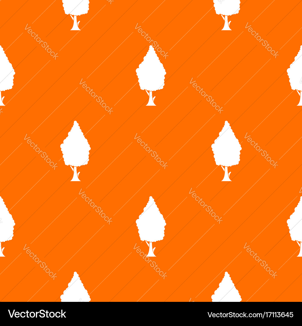 Cypress pattern seamless vector image
