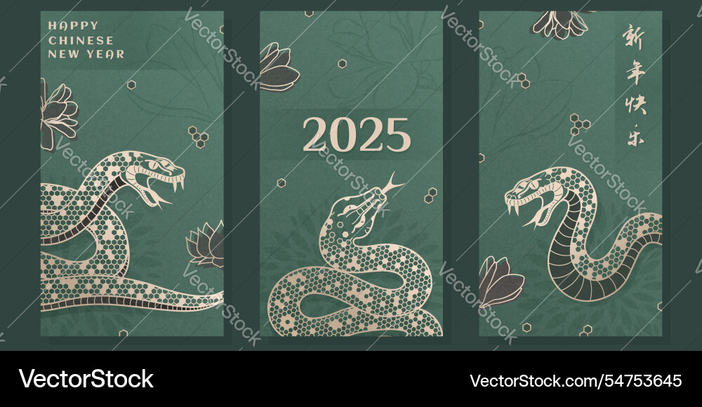 Happy chinese new year 2025 card set Happy chinese new year 2025 card set vector image