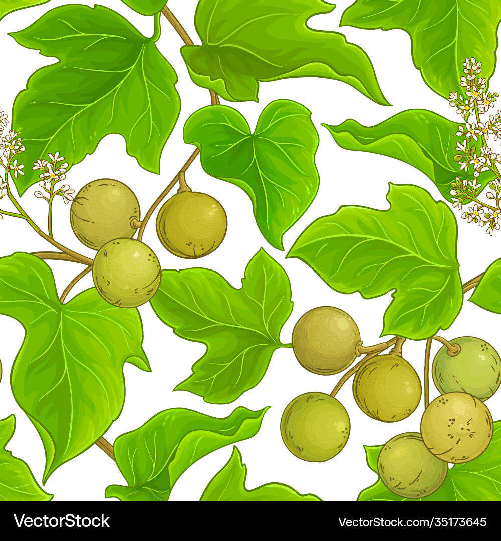 Kukui Nut Pattern vector image