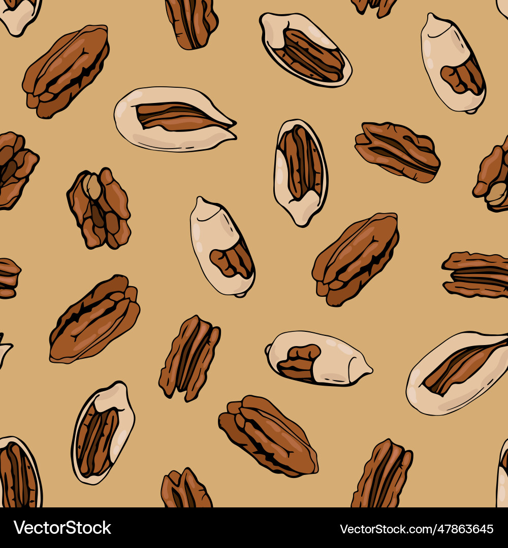 Seamless pattern with pecan nuts design for fabri Vector Image