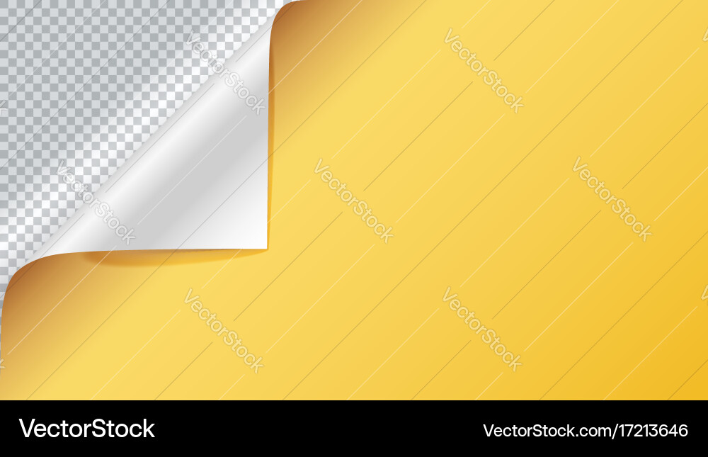 Page curl with shadow on blank sheet of paper Vector Image
