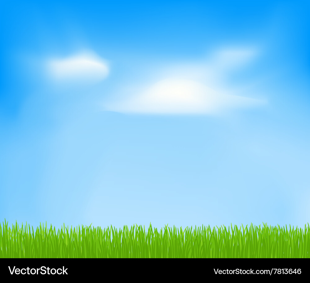 Spring Meadow Landscape Royalty Free Vector Image