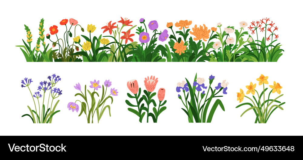 Blosssome Garten Blumen Blumen Rand blooming Blosssome Garten Blumen Blumen Rand blooming vektorbild