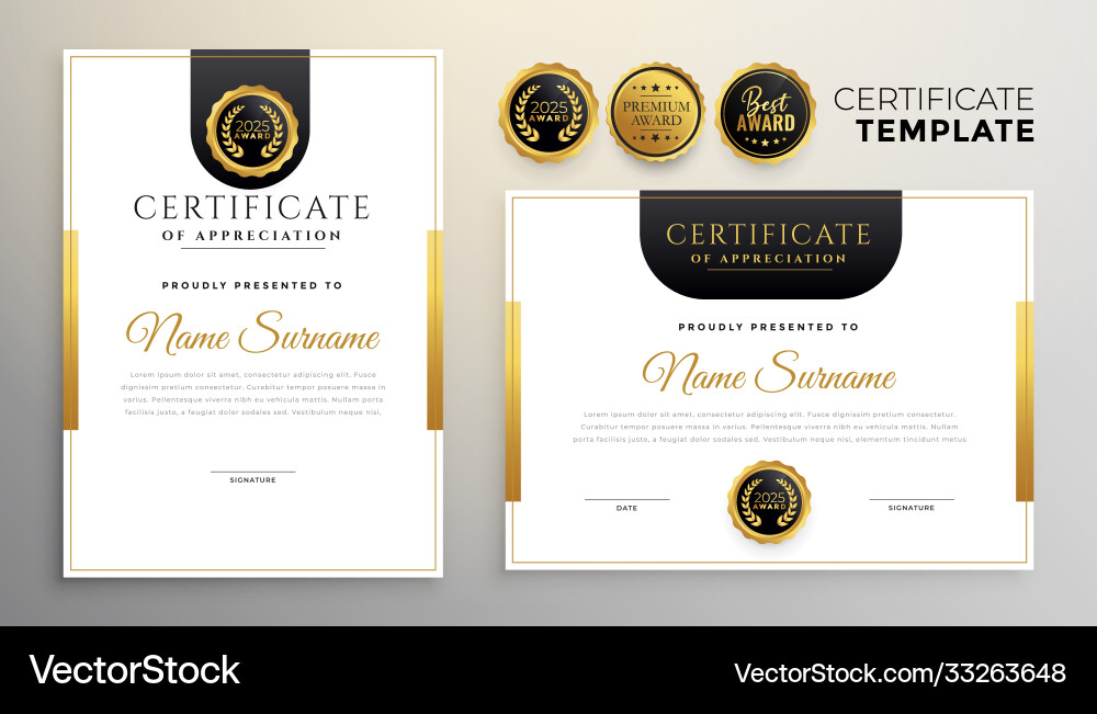 Elegant certificate appreciation modern Elegant certificate appreciation modern vector image