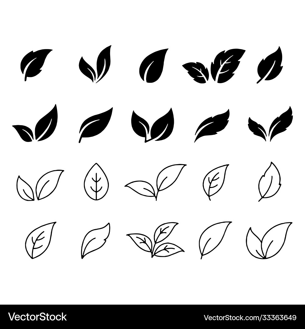 Leaf icon set white background leaves Leaf icon set white background leaves vector image