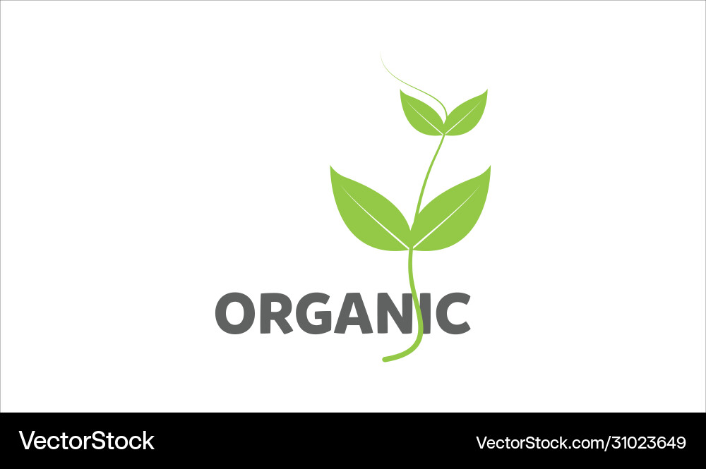 Organic tree logo Royalty Free Vector Image - VectorStock