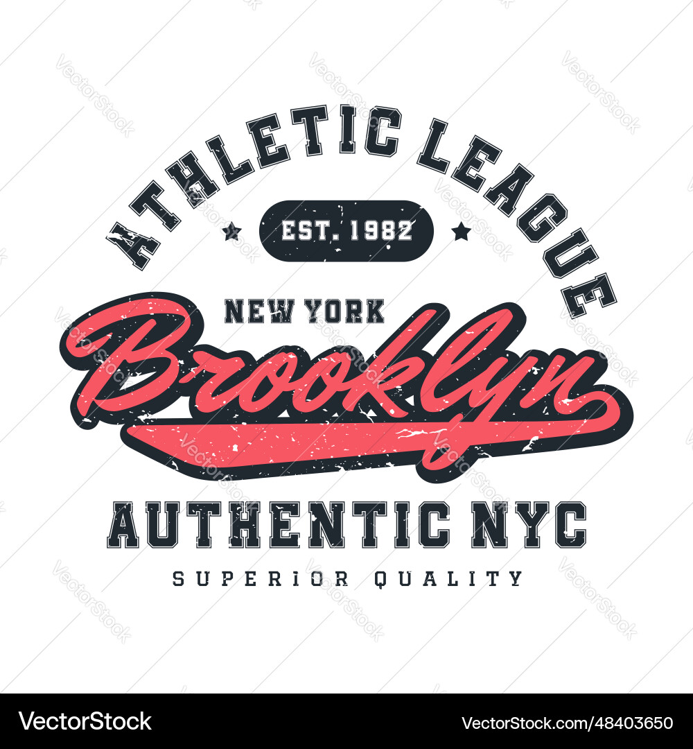 New york brooklyn t-shirt design print New york brooklyn t-shirt design print vector image