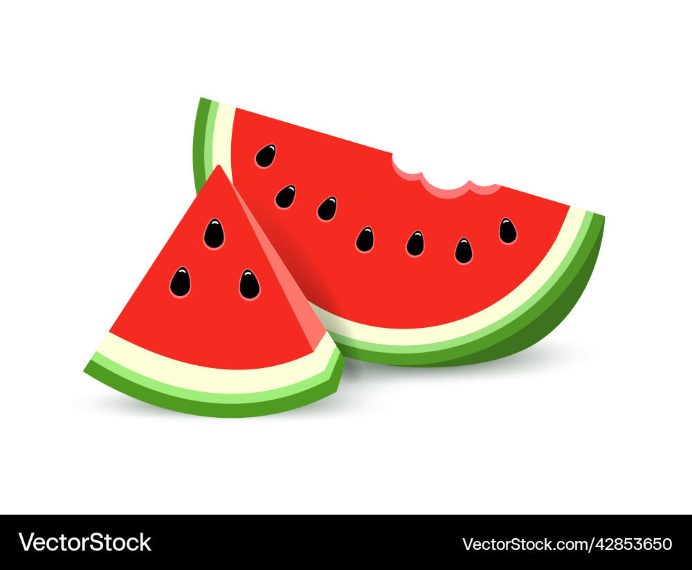 Realistic of triangular watermelon vector image