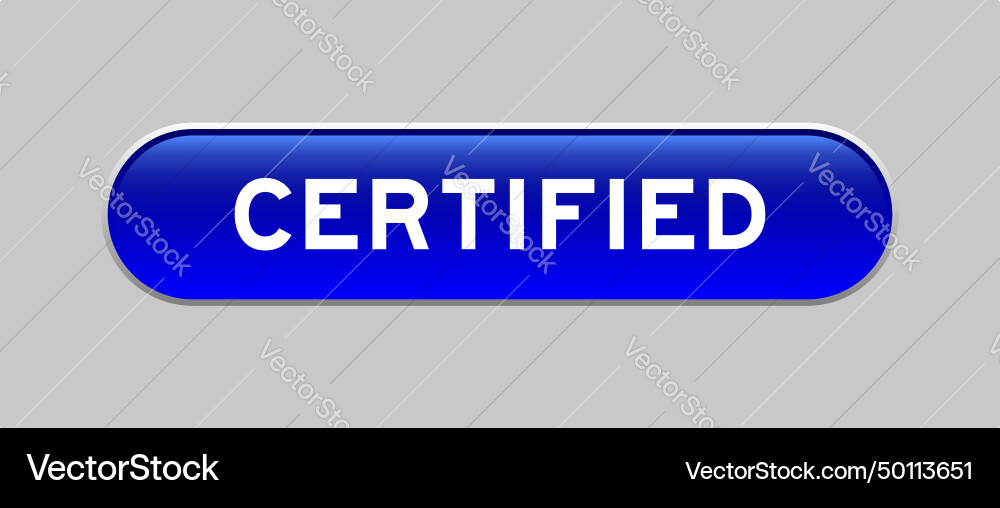 Blue color capsule shape button with word Blue color capsule shape button with word vector image