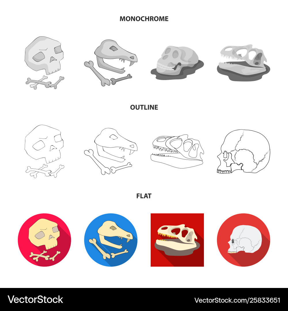 Design skeleton and character symbol Vector Image