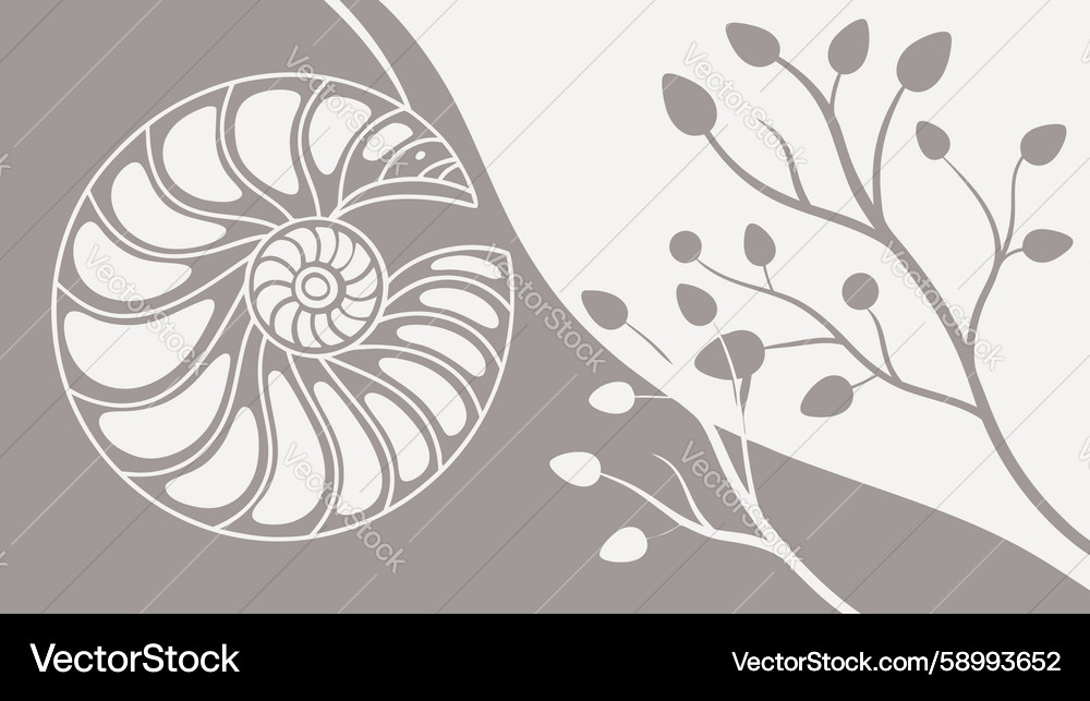 Nautilus Shell with Botanical Branches Vector Image