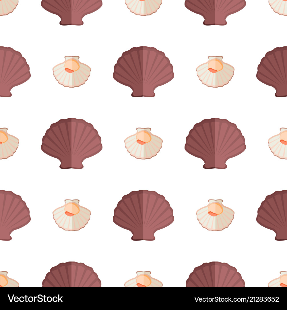 Shell and mollusk pattern vector image