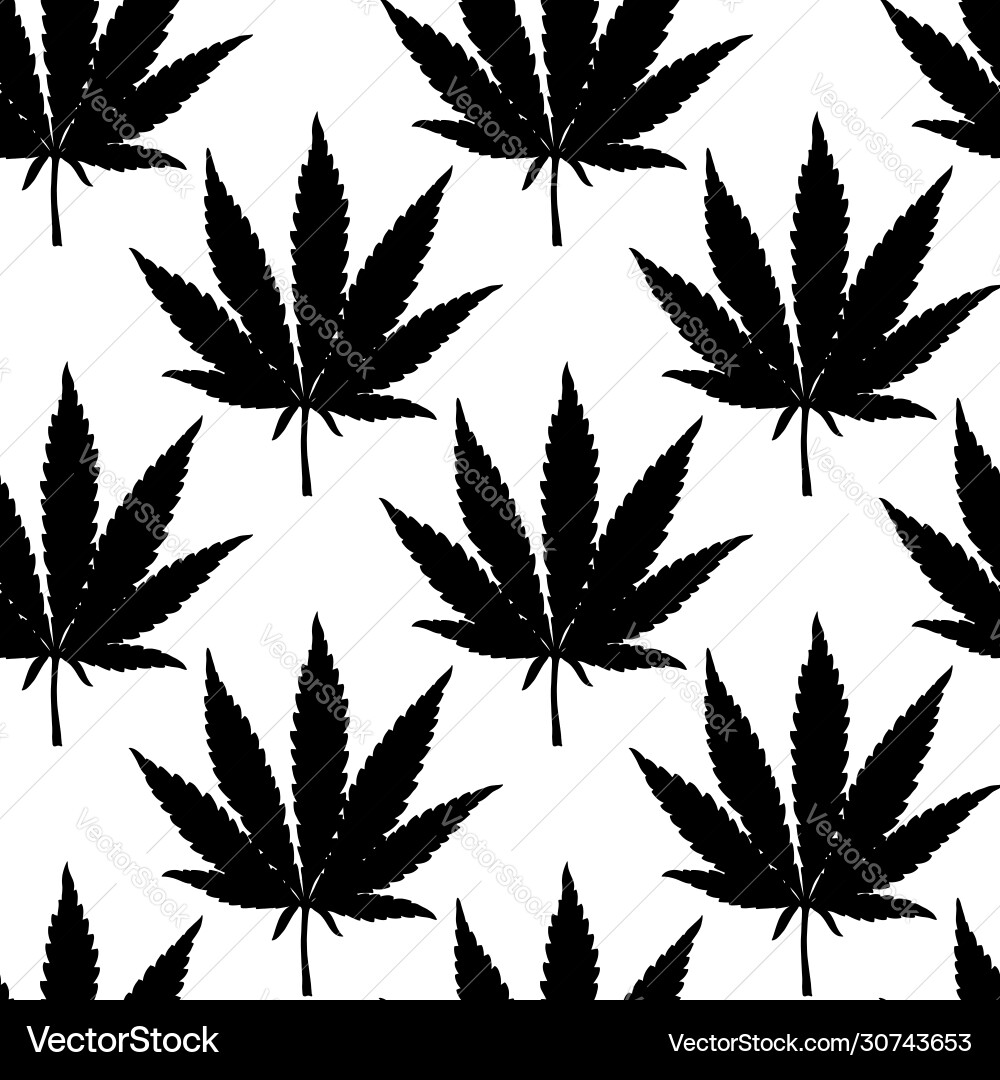 Hand drawn marijuana leaf seamless pattern Hand drawn marijuana leaf seamless pattern vector image