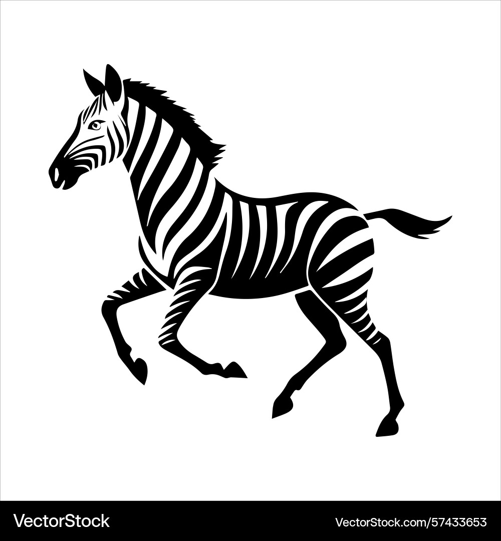 Plain zebra vector image