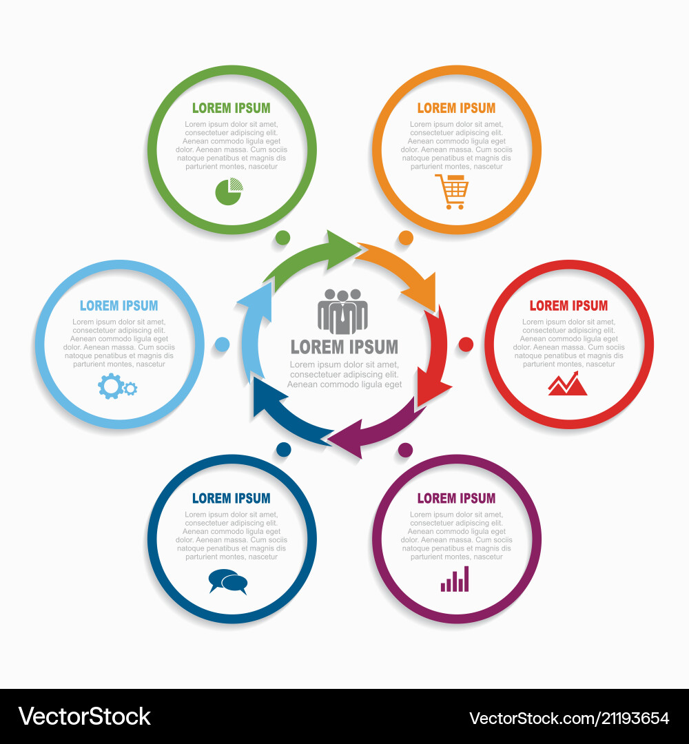 Infographic Template - Data Visualization Vector Image