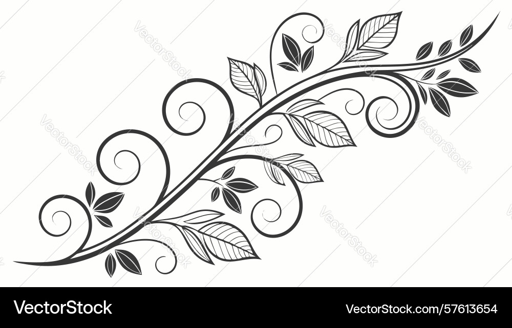 Intricate botanical design element with curling Vector Image