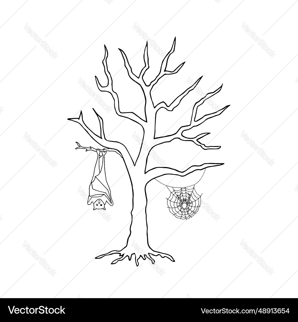 Tree with bat and web hand drawn image Vector Image