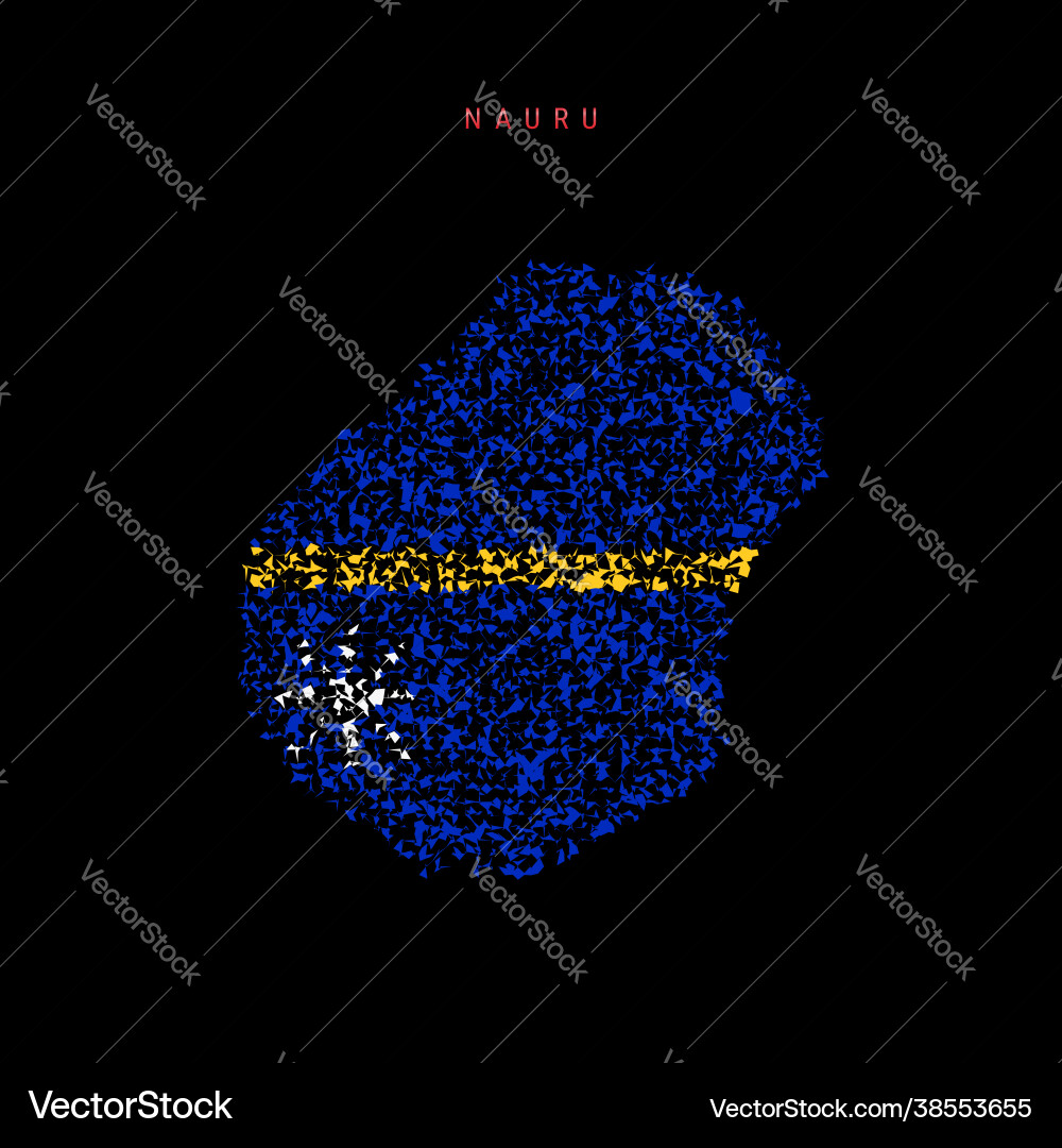 Nauru flag map chaotic particles pattern Vector Image
