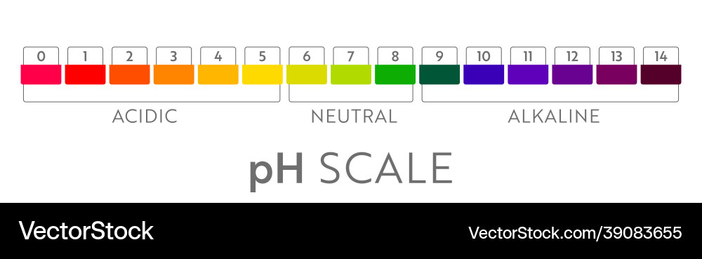 Ph value scale chart Ph value scale chart vector image