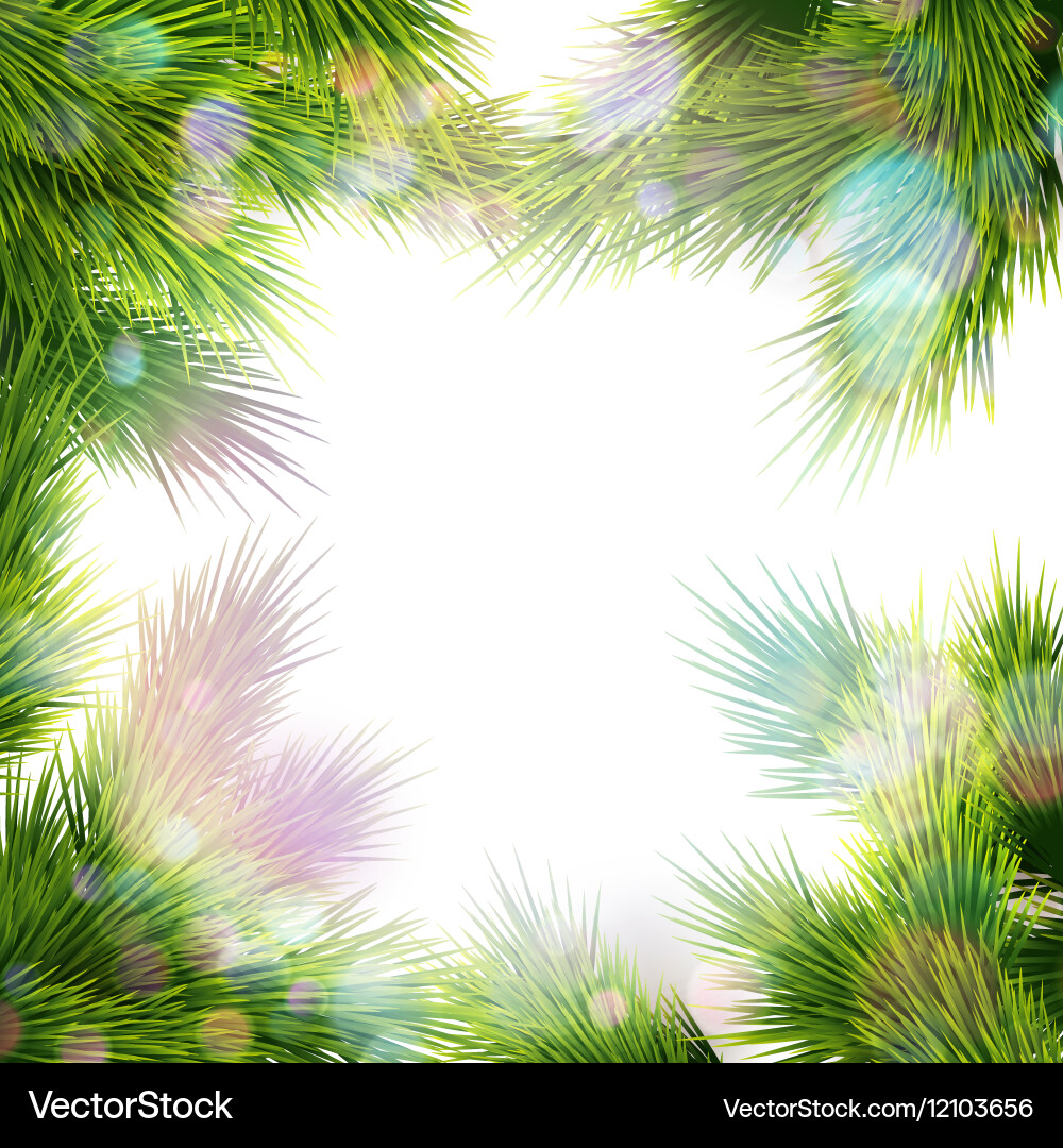 Frame of tree branches eps 10 vector image