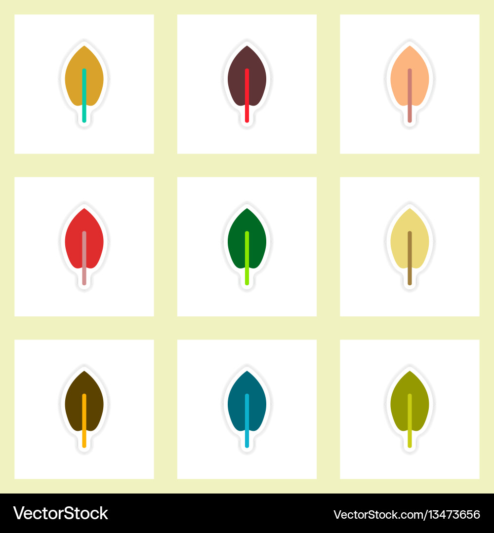 Set of labels with shadow leafs icon design Set of labels with shadow leafs icon design vector image
