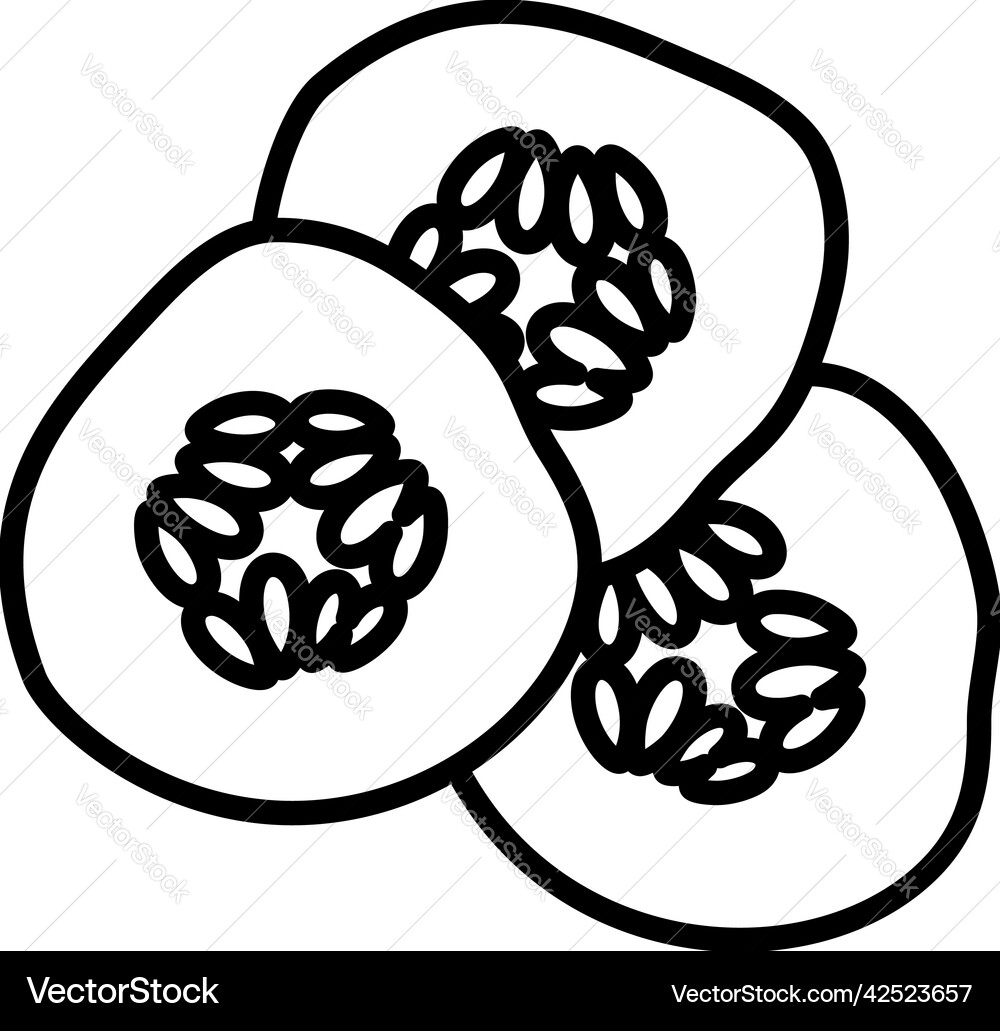 Cucumber slices for spa icon Vector Image