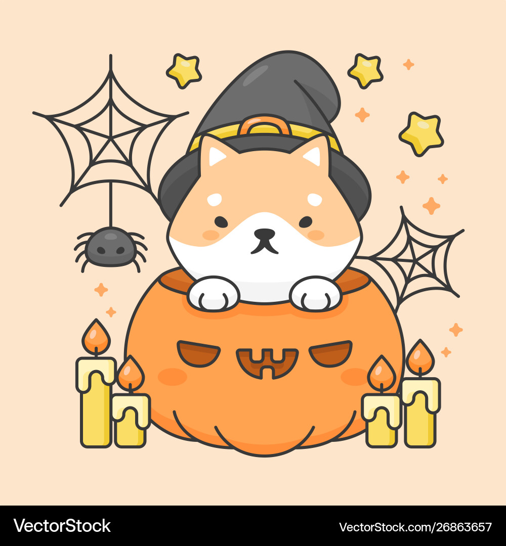 Shiba inu dog in a pumpkin with candle and spider Shiba inu dog in a pumpkin with candle and spider vector image
