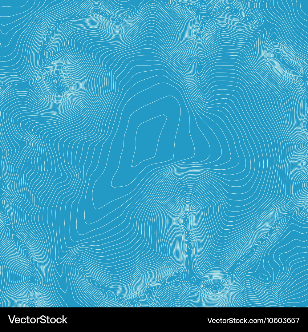 Topographic map background concept with space vector image