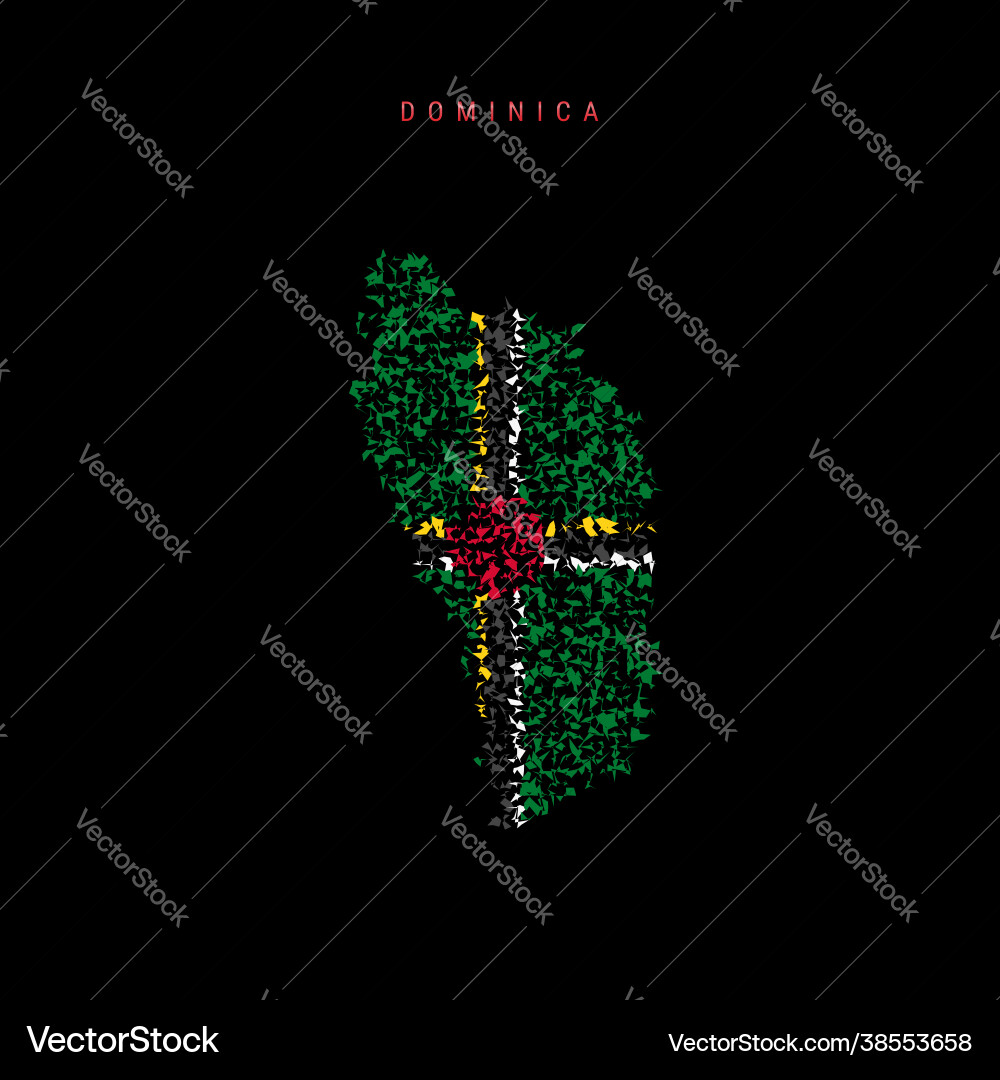 Dominica flag map chaotic particles pattern Dominica flag map chaotic particles pattern Vector Image