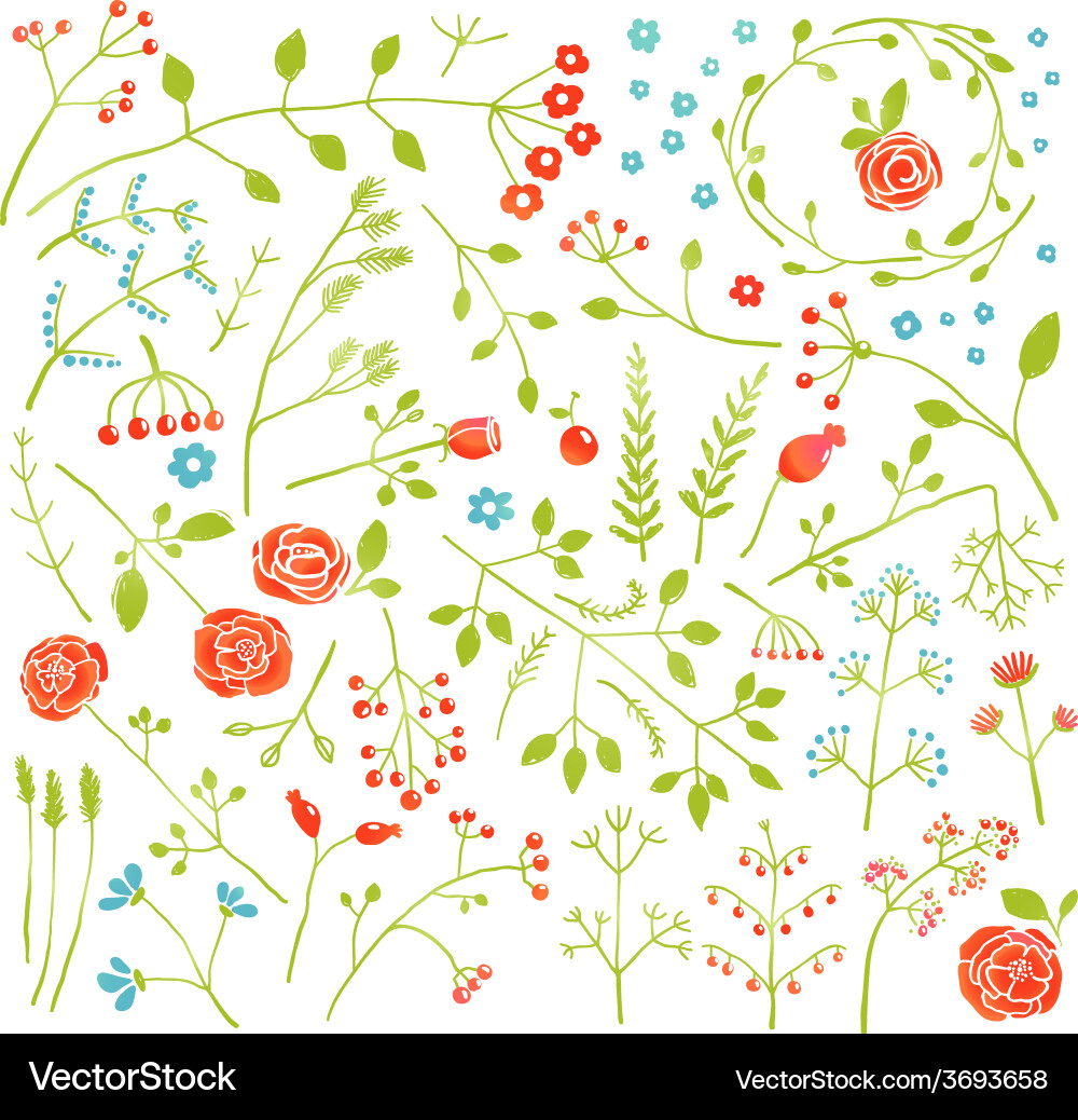 Floral Doodle Flowers & Plants Vector Image