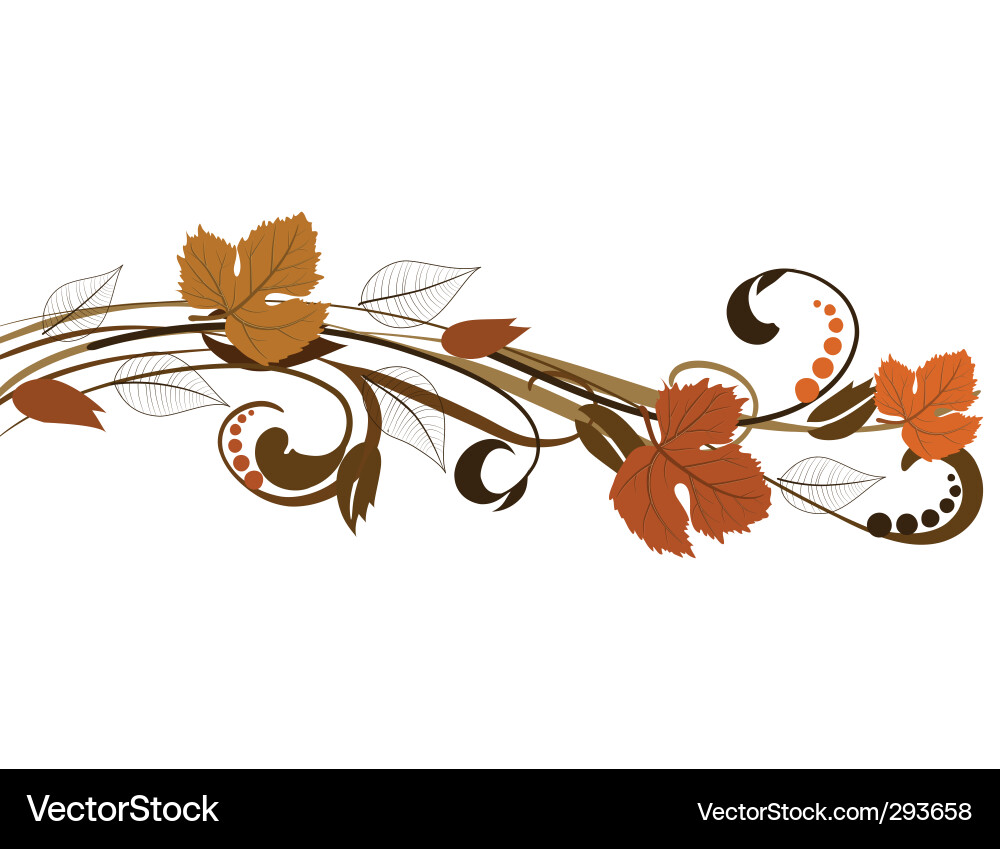 Leaf pattern vector image