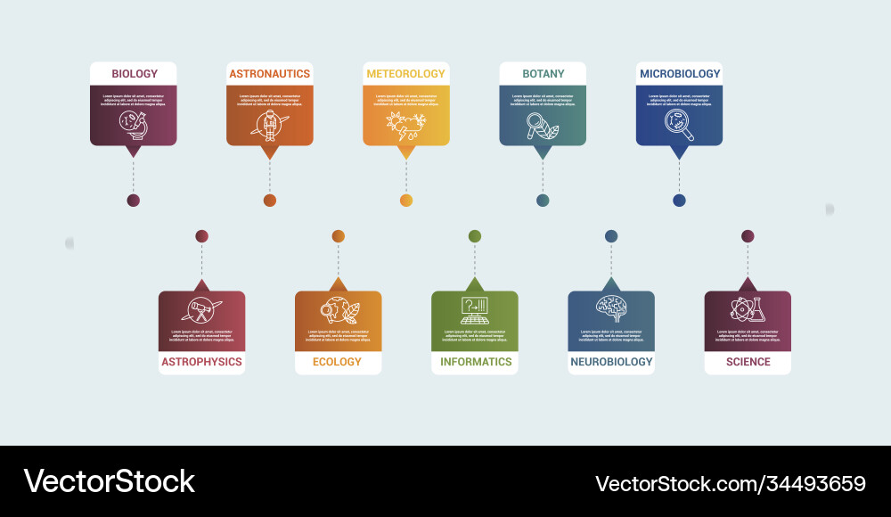 Infographic science template icons in different Infographic science template icons in different vector image