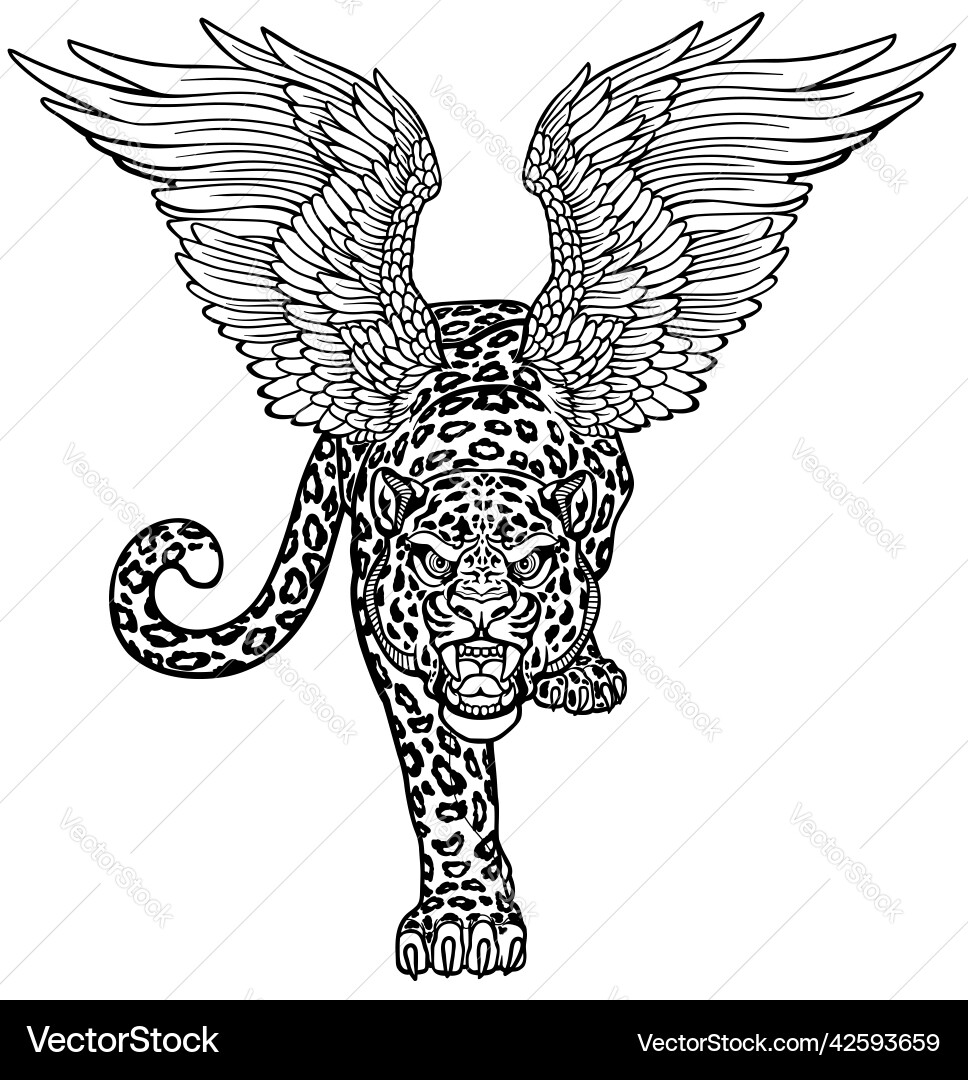 Mythological snow leopard with wings front view vector image