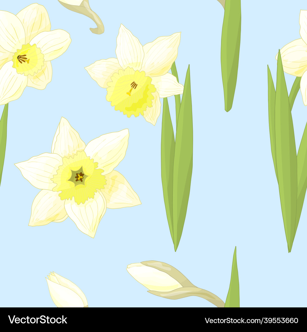 Seamless pattern with daffodils on blue background Seamless pattern with daffodils on blue background Vector Image