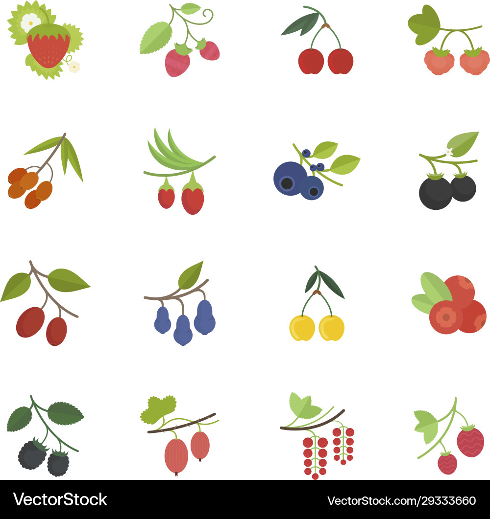 Set flat icons berries vector image