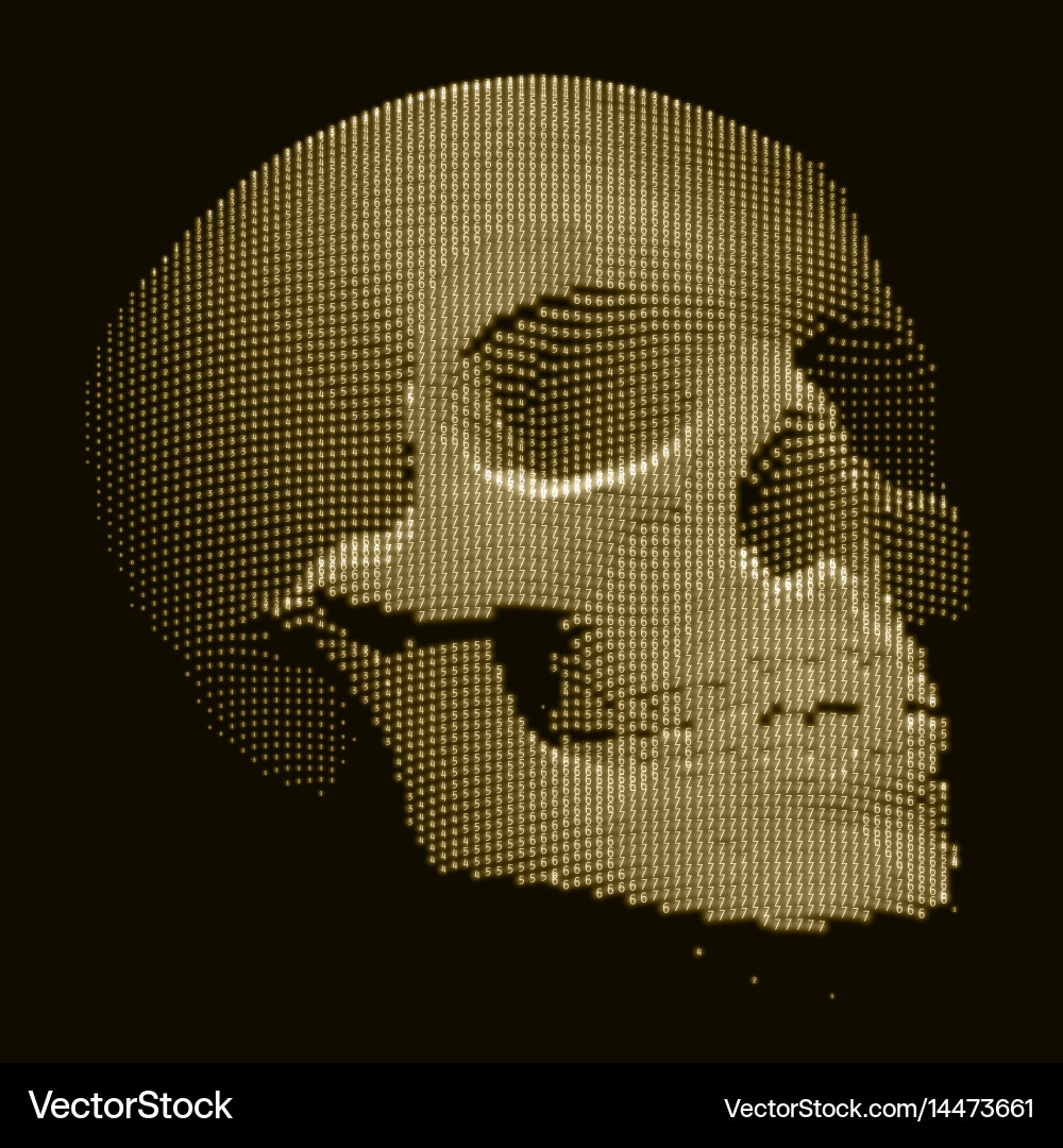 Digital Skull: Data Security vector image