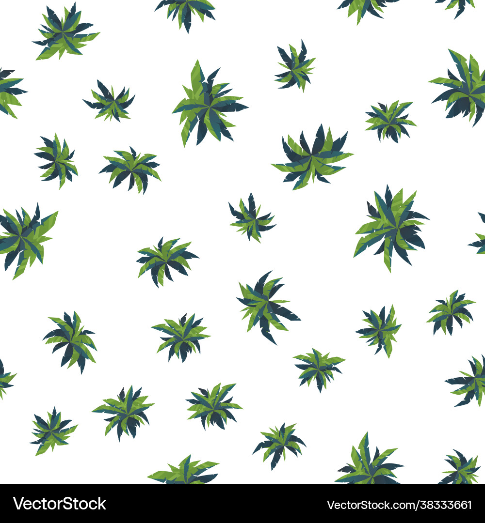 Palm Tree Top View Seamless Pattern vector image