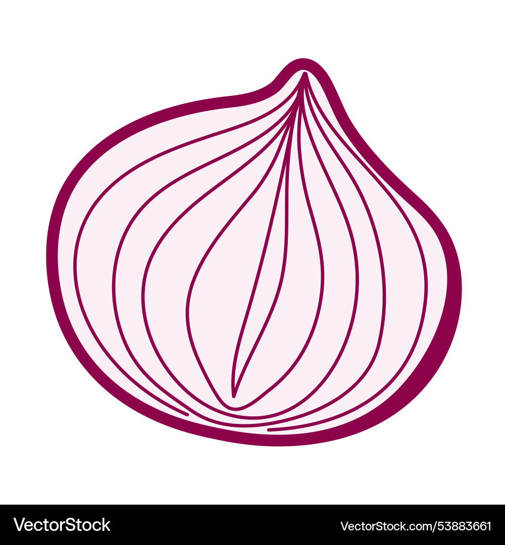 Stylized hand drawn red onion image with soft Stylized hand drawn red onion image with soft vector image