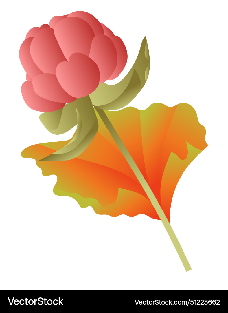 Raspberry on twig with orange leaf in flat design Raspberry on twig with orange leaf in flat design vector image