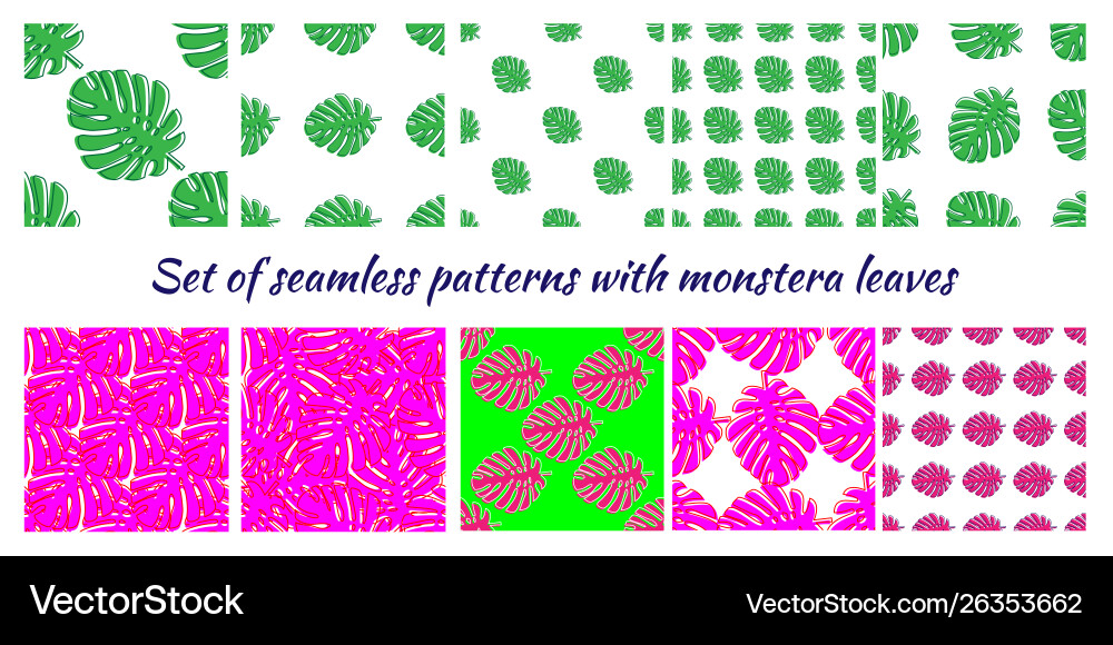Set several seamless patterns with monstera Set several seamless patterns with monstera vector image