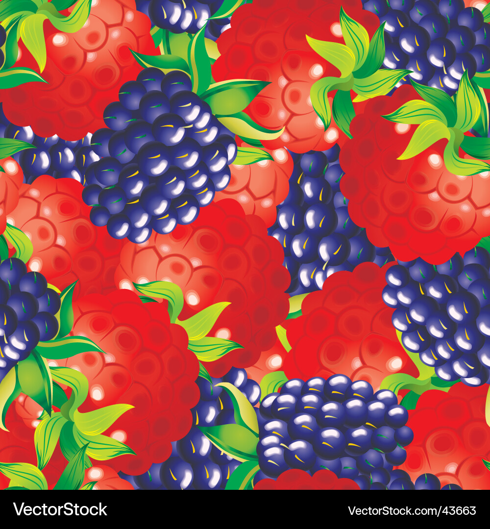 Blackberry and Raspberry Pattern Vector Image