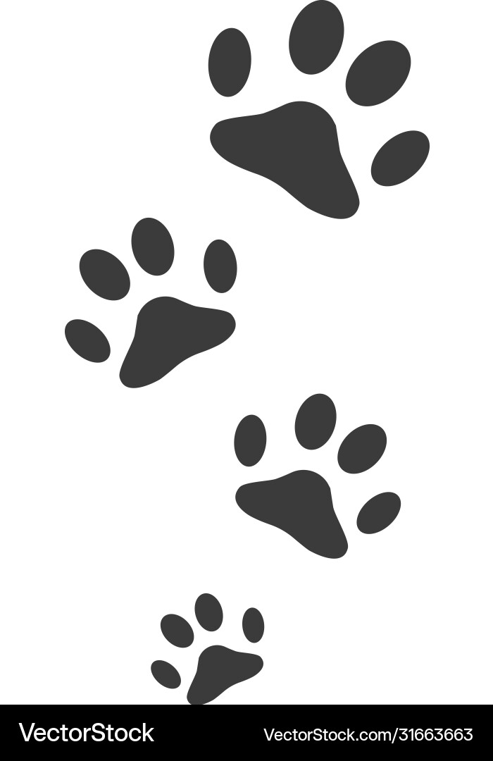 Paw logo design Vector Image