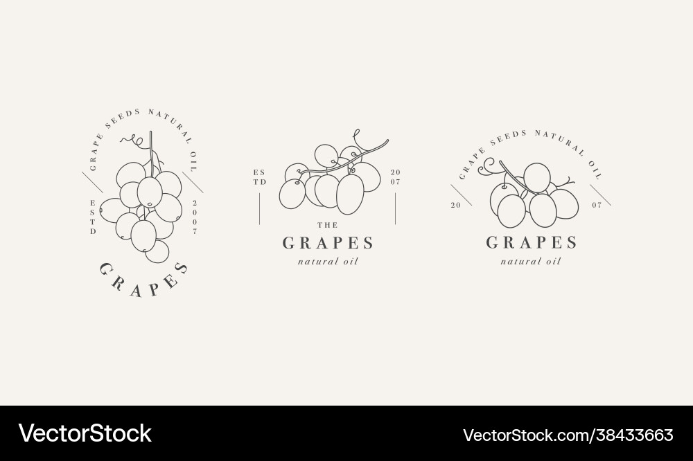 Set packaging design elements and icons Vector Image