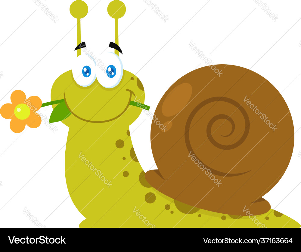 Cute snail cartoon character with a flower Cute snail cartoon character with a flower Vector Image