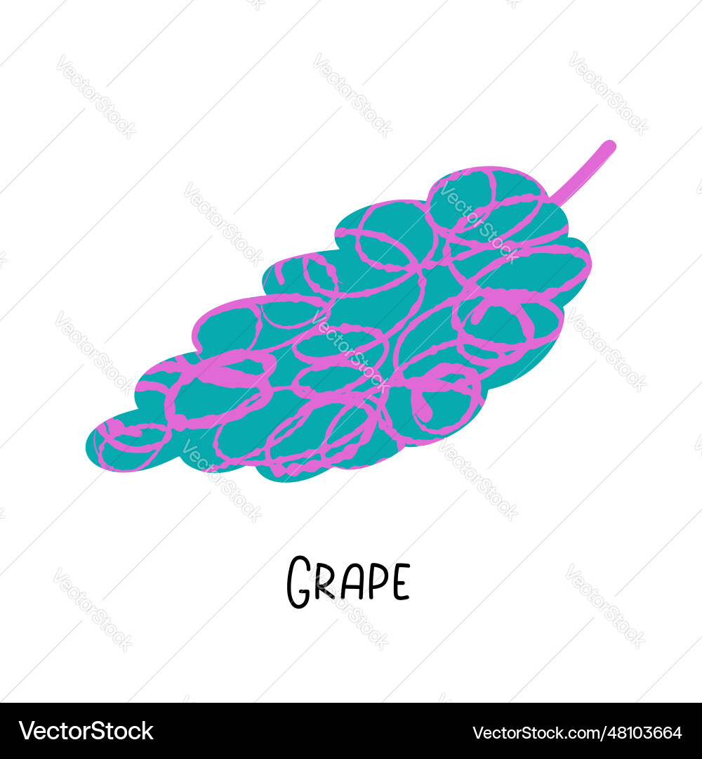 Grape with texture isolated on white Grape with texture isolated on white Vector Image