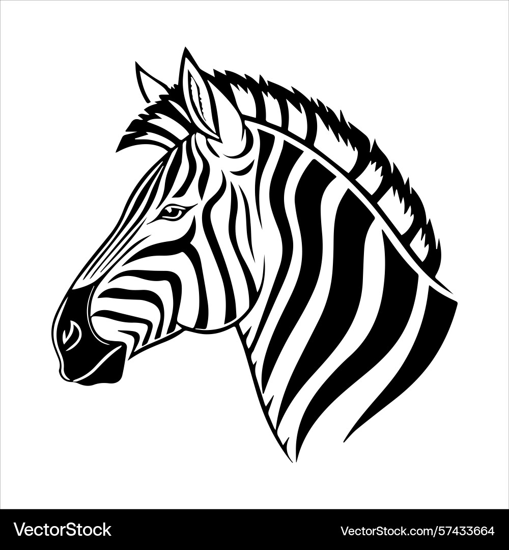 Plain zebra vector image