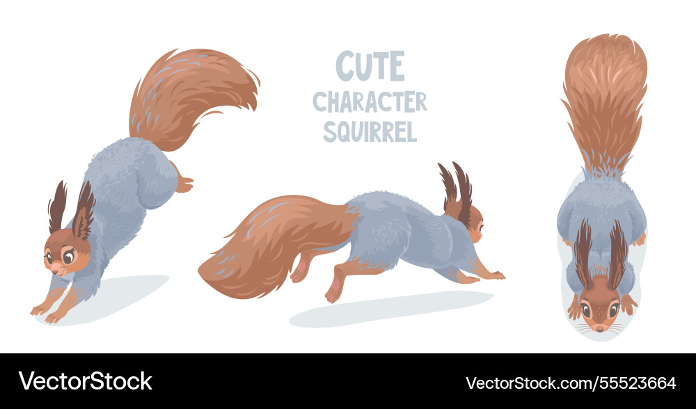 Set squirrels Set squirrels vector image