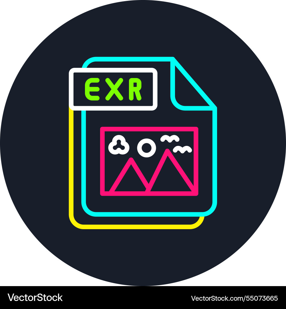 Exr line multi color icon Vector Image